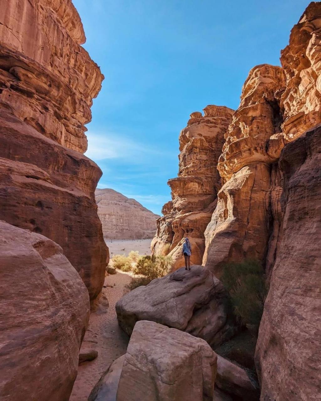 Rum Solaris Bubbles Camp Wadi Rum Eksteriør billede