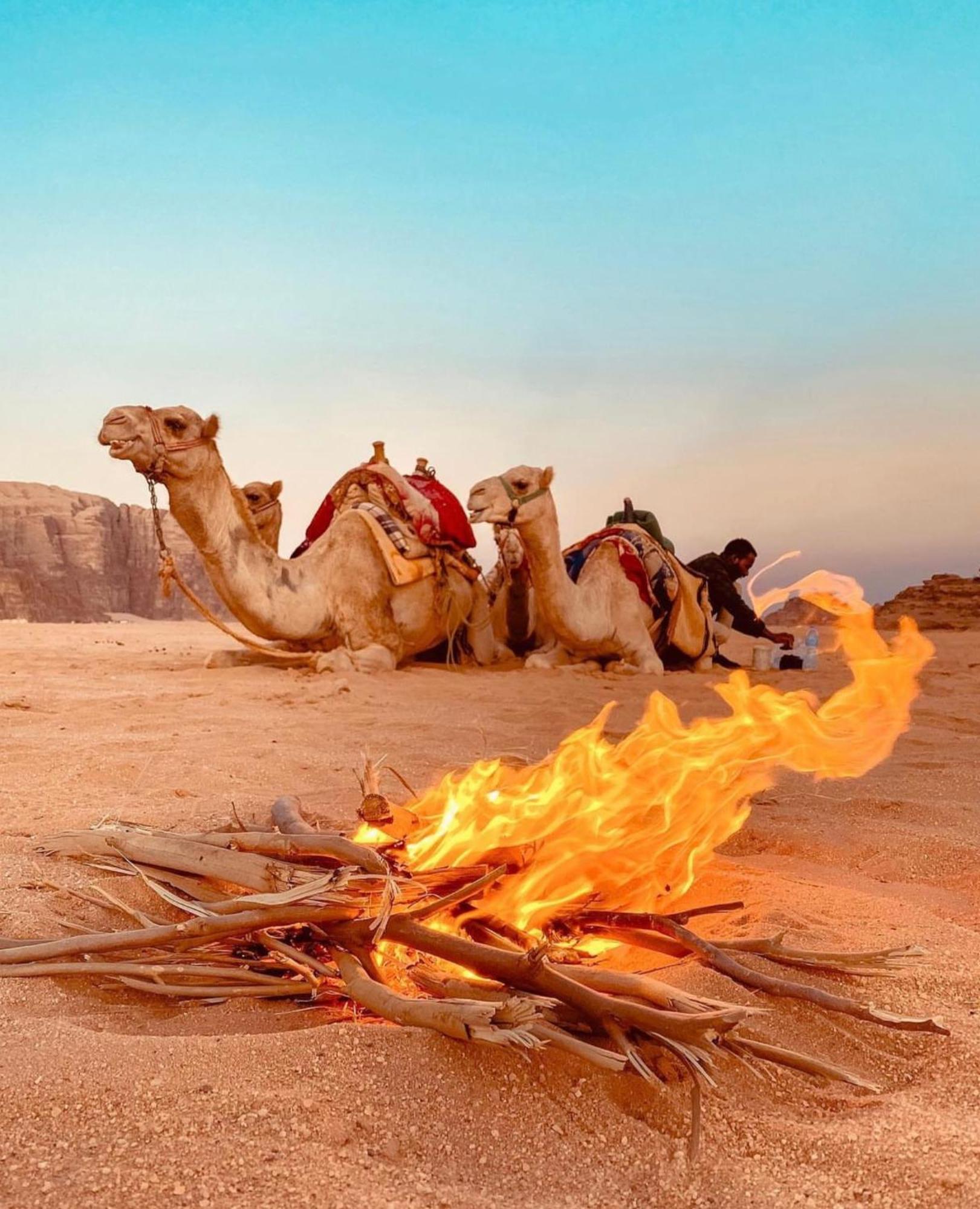 Rum Solaris Bubbles Camp Wadi Rum Eksteriør billede